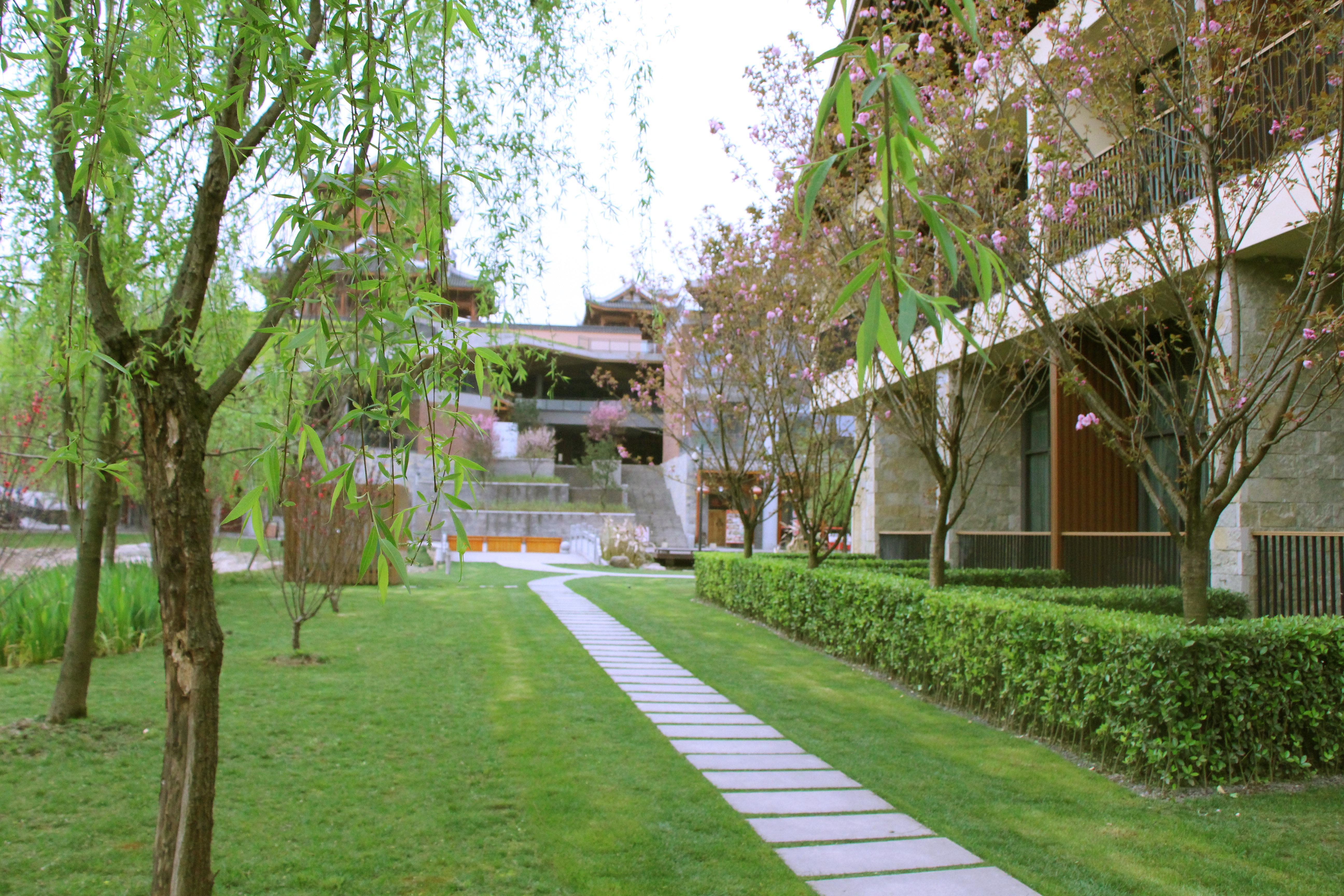 Holiday Inn Express Emei Mountain By Ihg Emeishan Extérieur photo