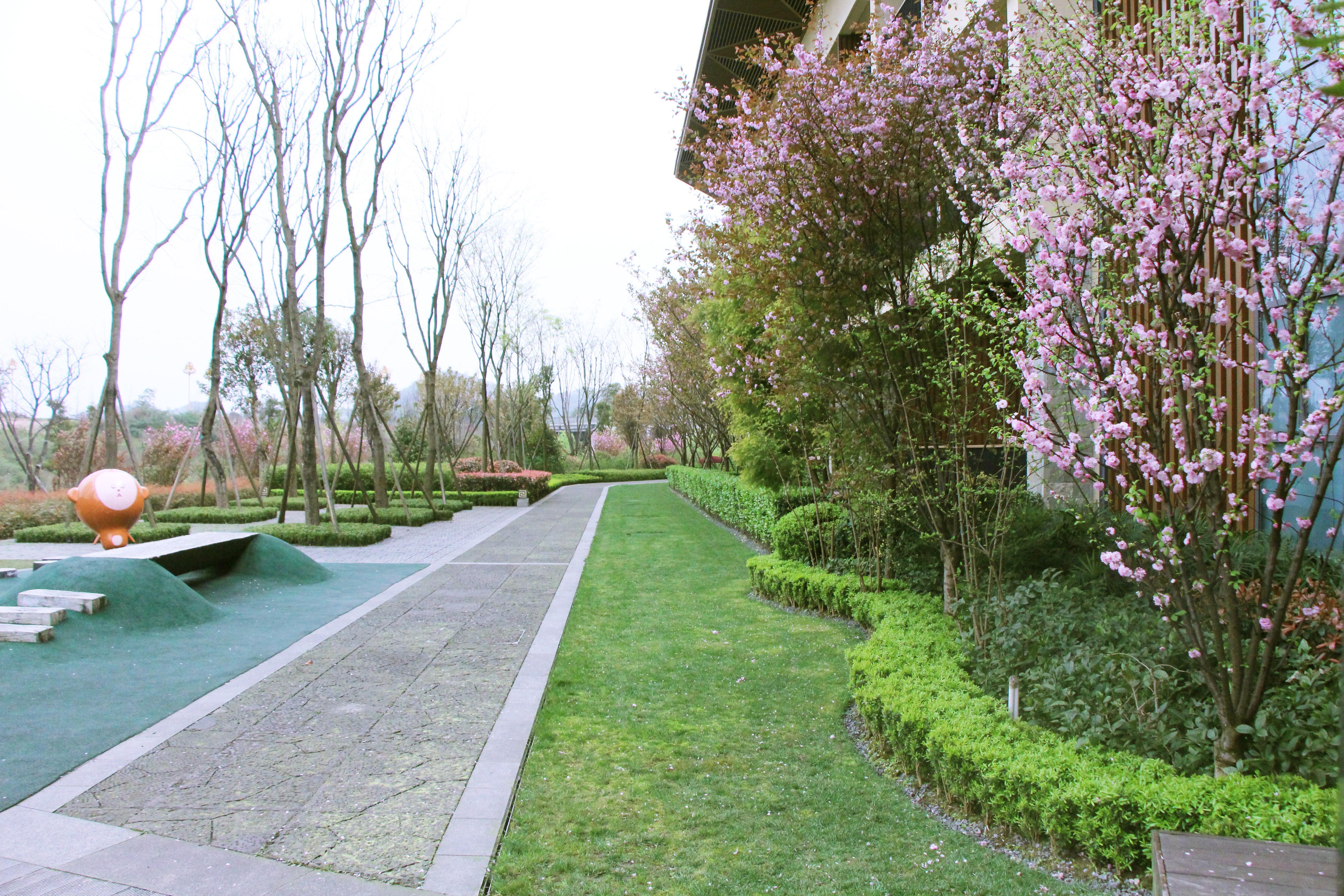 Holiday Inn Express Emei Mountain By Ihg Emeishan Extérieur photo