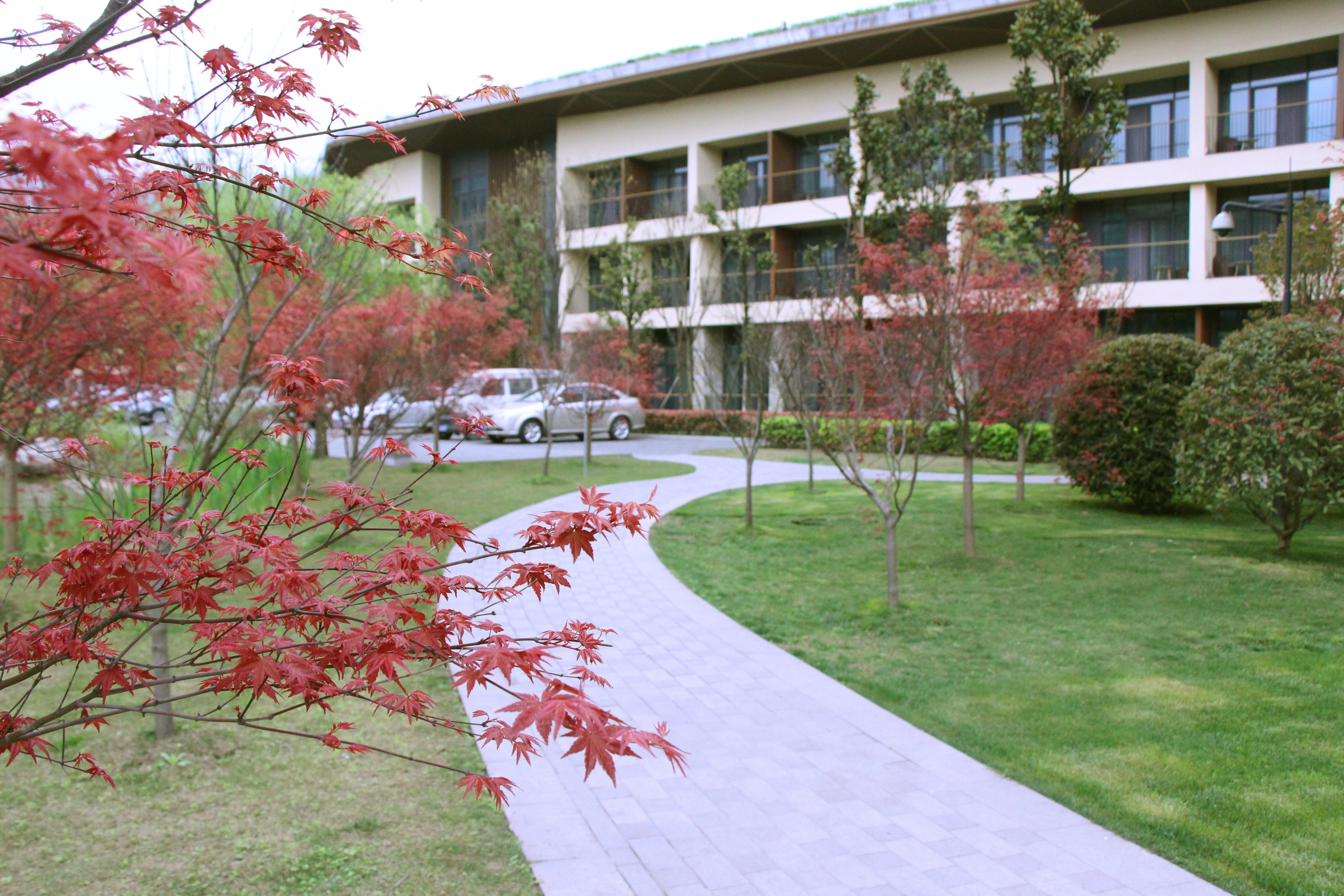 Holiday Inn Express Emei Mountain By Ihg Emeishan Extérieur photo