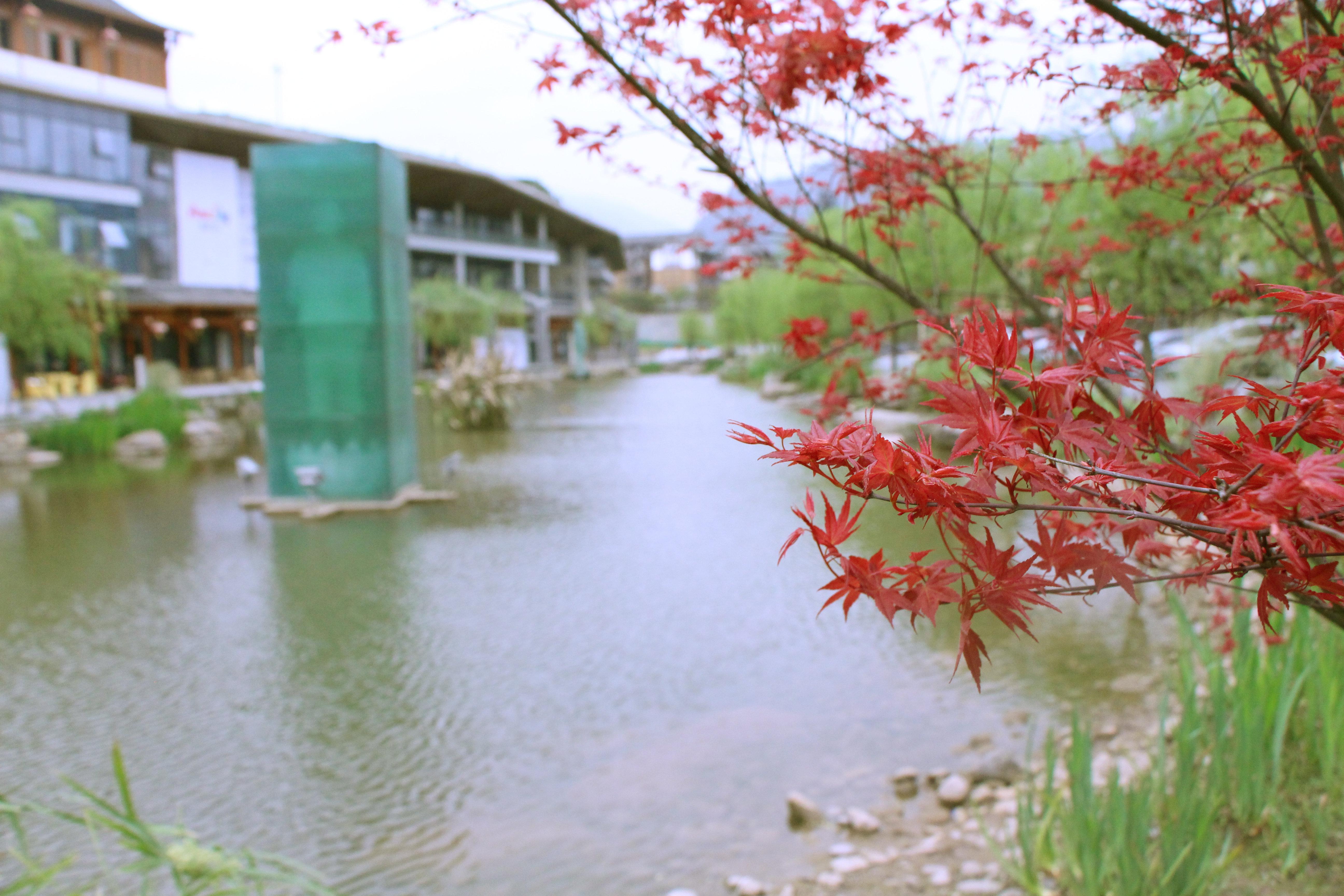 Holiday Inn Express Emei Mountain By Ihg Emeishan Extérieur photo