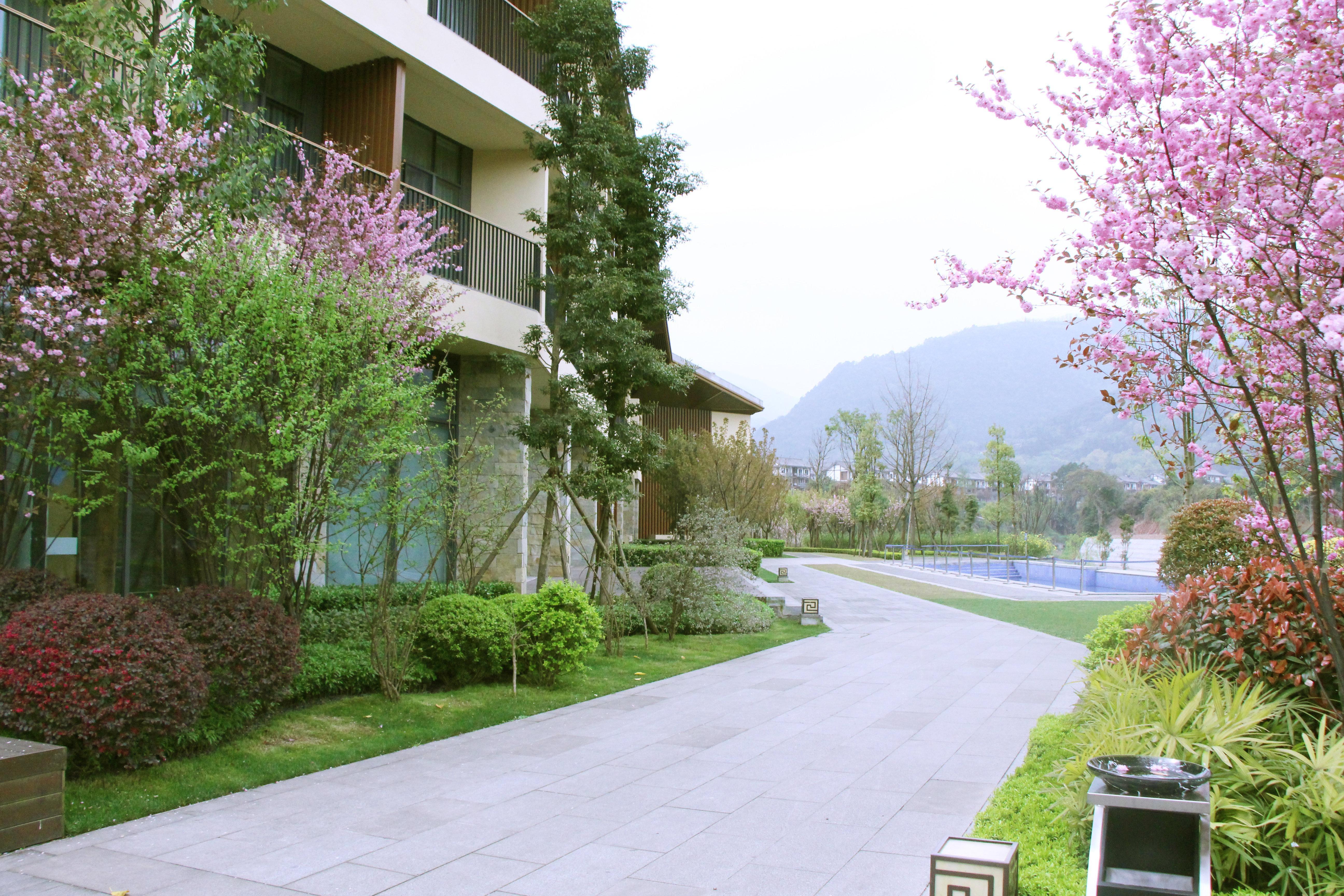 Holiday Inn Express Emei Mountain By Ihg Emeishan Extérieur photo